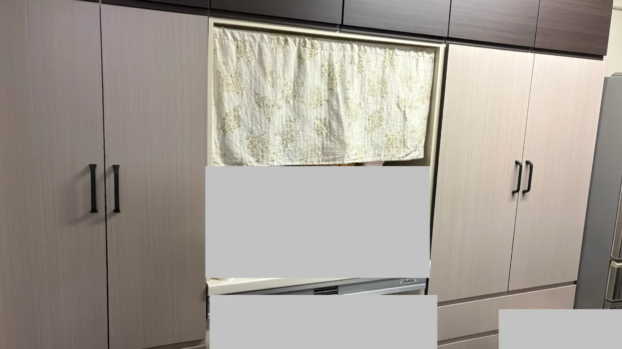 食器は多くしまえるが家電を置く長いカウンターがないキッチンの後ろの棚
